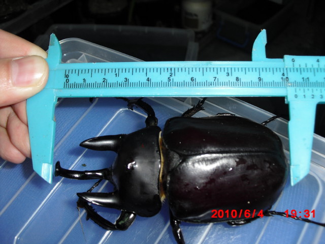 按此在新視窗瀏覽圖片