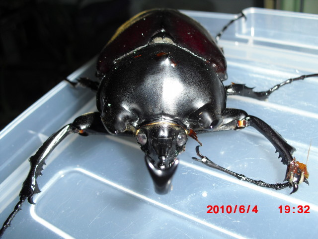 按此在新視窗瀏覽圖片