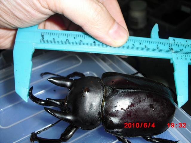 按此在新視窗瀏覽圖片