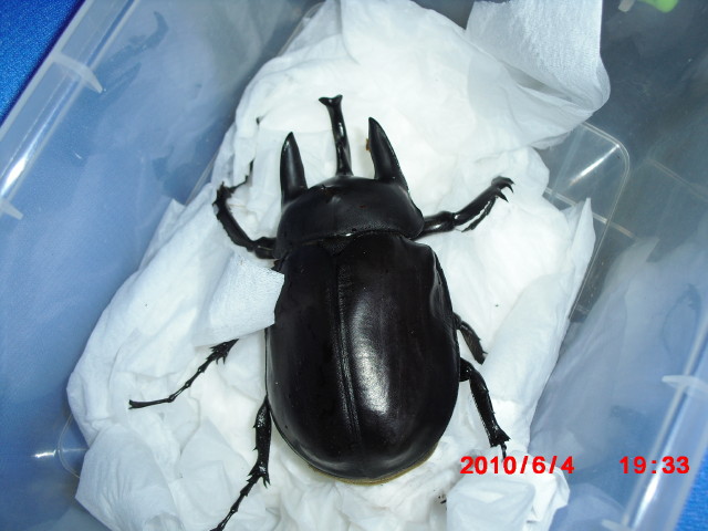 按此在新視窗瀏覽圖片