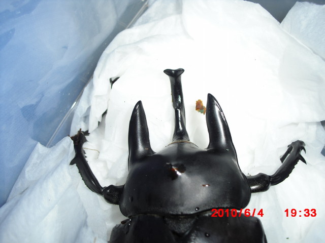 按此在新視窗瀏覽圖片