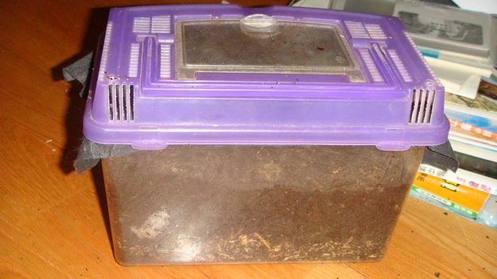 按此在新視窗瀏覽圖片