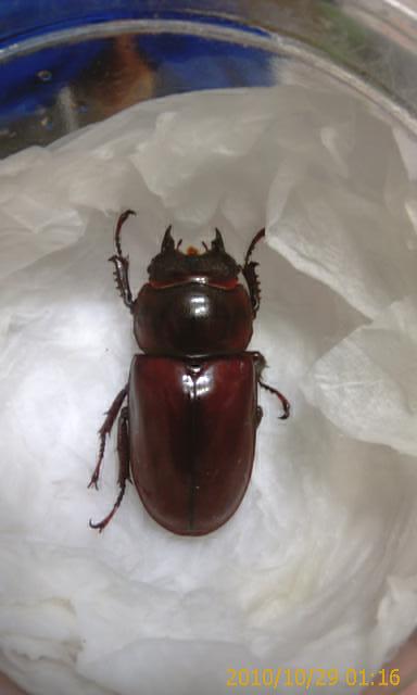 按此在新視窗瀏覽圖片