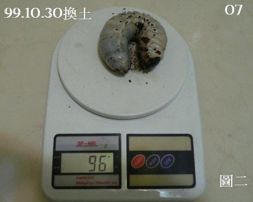 «ö¦¹¦b·sµøµ¡ÂsÄý¹Ï¤ù