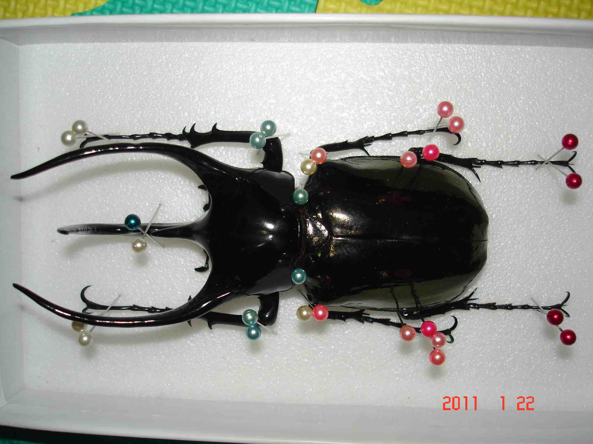 按此在新視窗瀏覽圖片