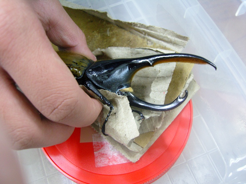 按此在新視窗瀏覽圖片