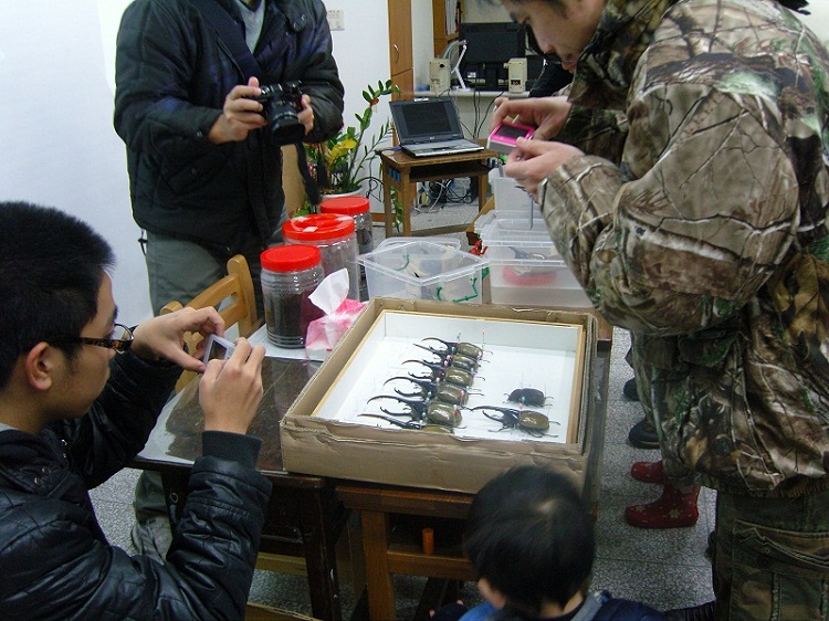 按此在新視窗瀏覽圖片