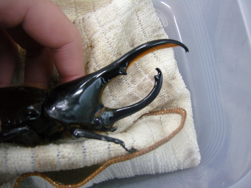 «ö¦¹¦b·sµøµ¡ÂsÄý¹Ï¤ù