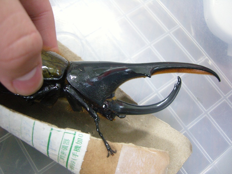 «ö¦¹¦b·sµøµ¡ÂsÄý¹Ï¤ù