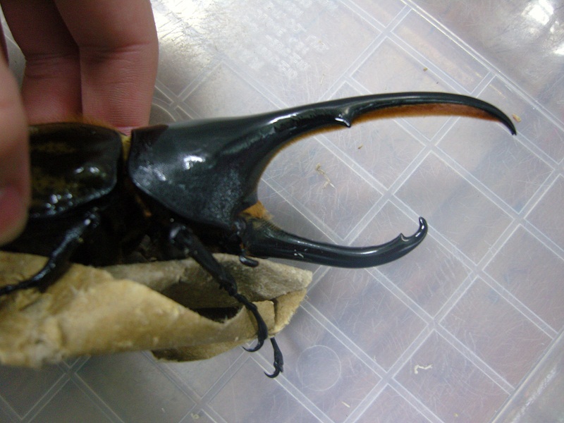 «ö¦¹¦b·sµøµ¡ÂsÄý¹Ï¤ù