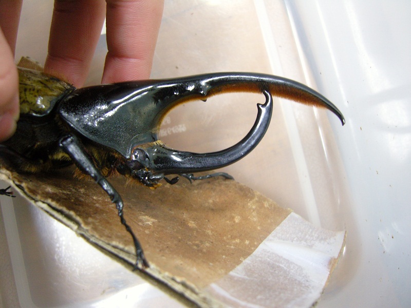 «ö¦¹¦b·sµøµ¡ÂsÄý¹Ï¤ù