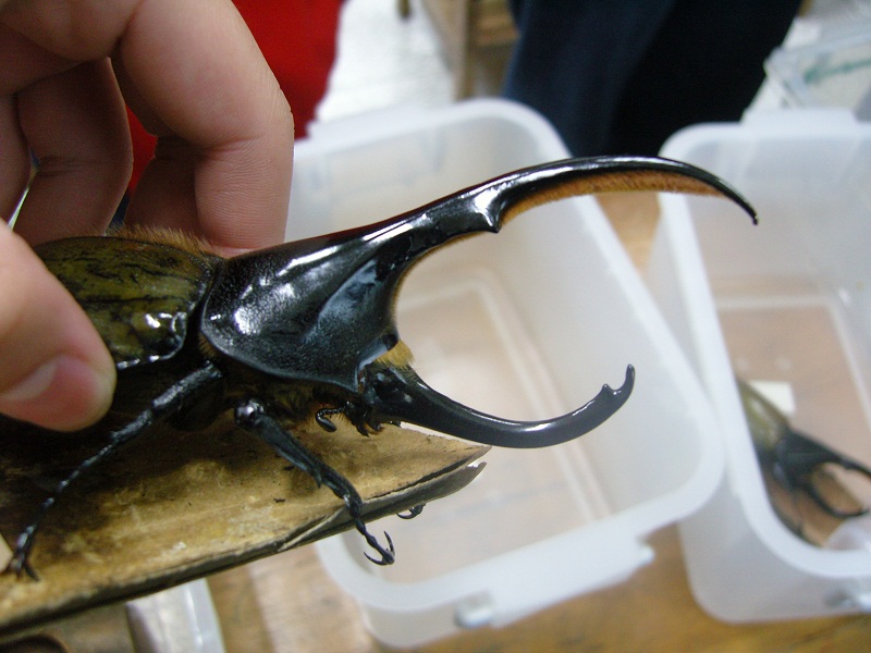 «ö¦¹¦b·sµøµ¡ÂsÄý¹Ï¤ù