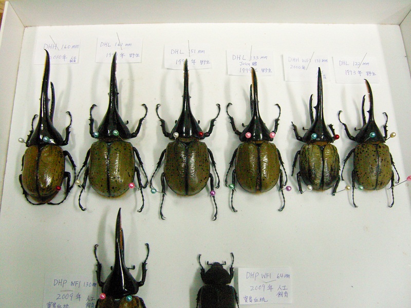 «ö¦¹¦b·sµøµ¡ÂsÄý¹Ï¤ù