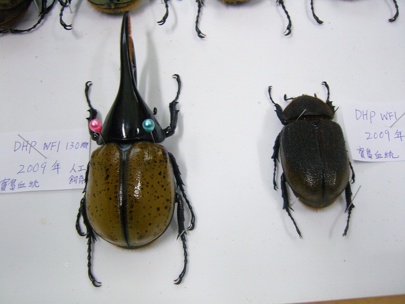 «ö¦¹¦b·sµøµ¡ÂsÄý¹Ï¤ù