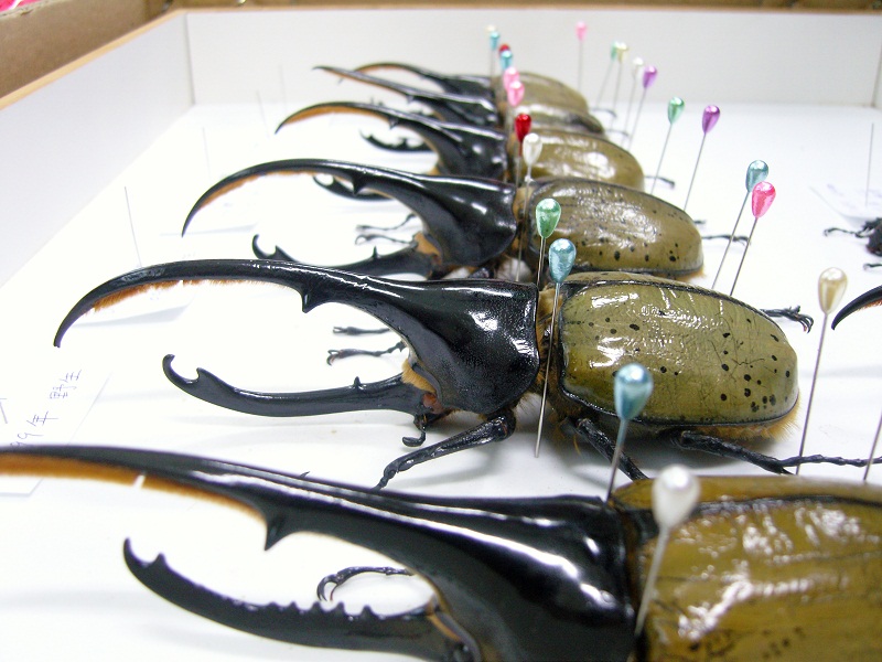 «ö¦¹¦b·sµøµ¡ÂsÄý¹Ï¤ù