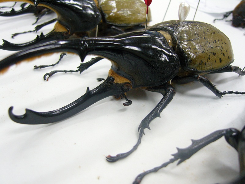 «ö¦¹¦b·sµøµ¡ÂsÄý¹Ï¤ù