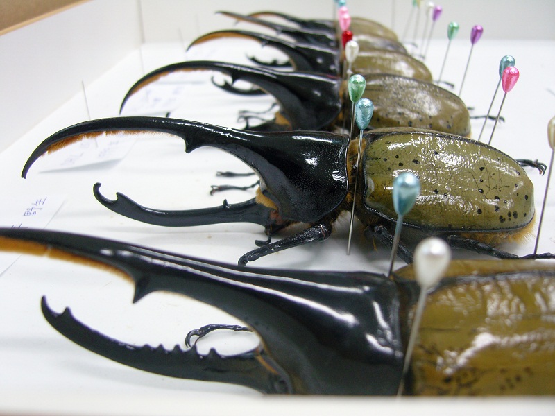 «ö¦¹¦b·sµøµ¡ÂsÄý¹Ï¤ù