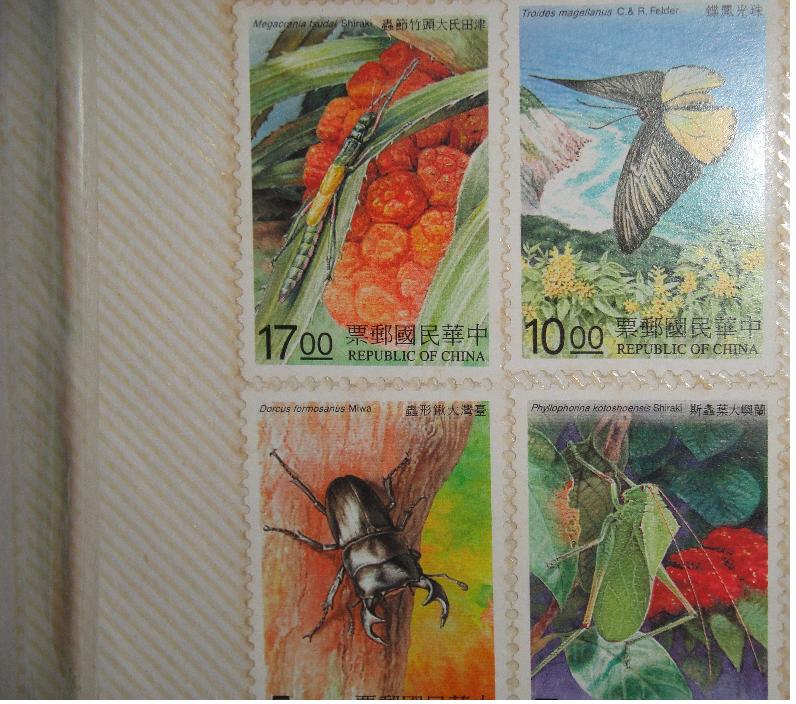 按此在新視窗瀏覽圖片