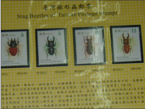 按此在新視窗瀏覽圖片