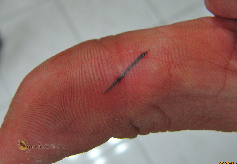 按此在新視窗瀏覽圖片