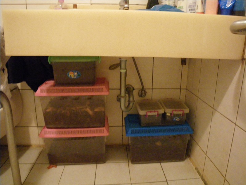 按此在新視窗瀏覽圖片