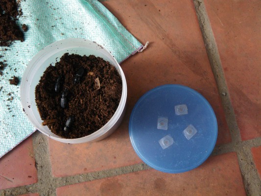 按此在新視窗瀏覽圖片