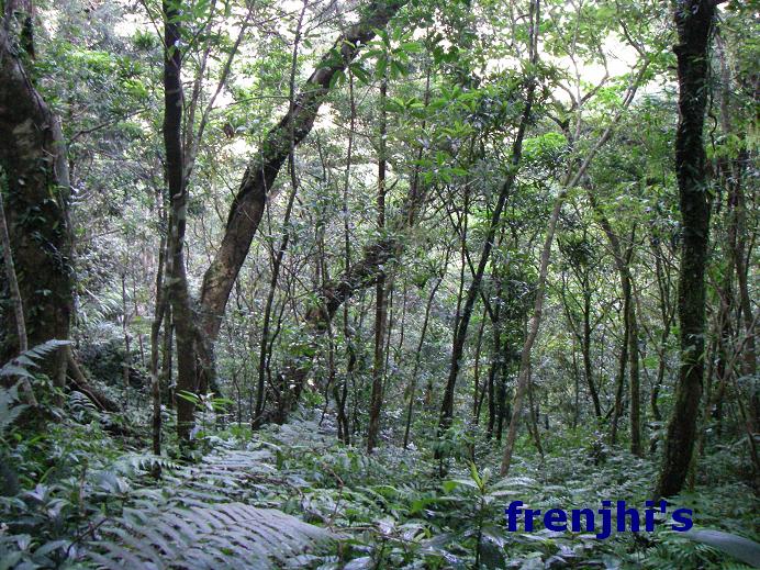 按此在新視窗瀏覽圖片