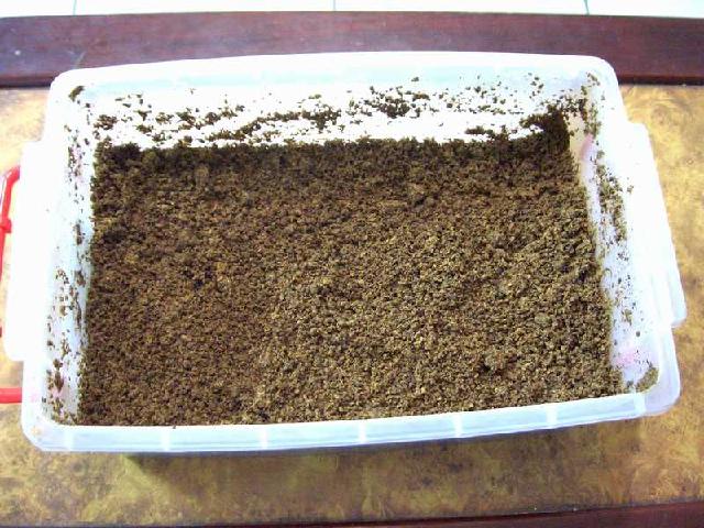 «ö¦¹¦b·sµøµ¡ÂsÄý¹Ï¤ù