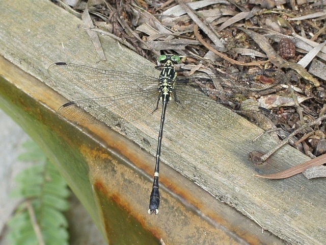 按此在新視窗瀏覽圖片