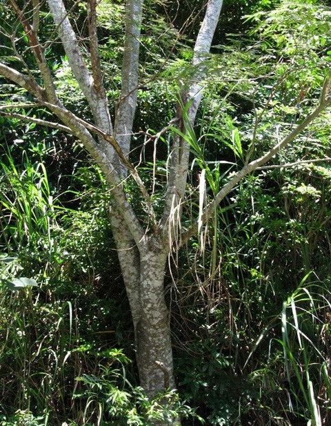 «ö¦¹¦b·sµøµ¡ÂsÄý¹Ï¤ù