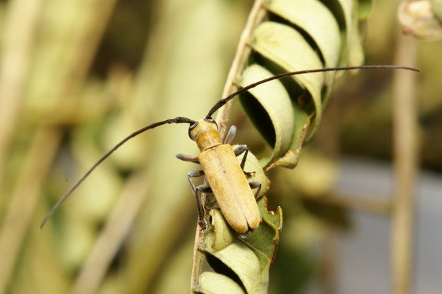 «ö¦¹¦b·sµøµ¡ÂsÄý¹Ï¤ù