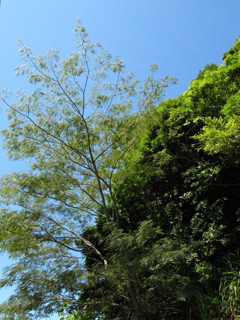 «ö¦¹¦b·sµøµ¡ÂsÄý¹Ï¤ù