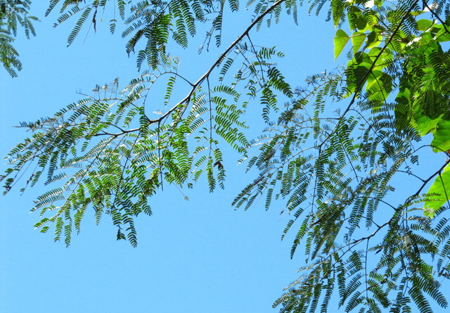 «ö¦¹¦b·sµøµ¡ÂsÄý¹Ï¤ù