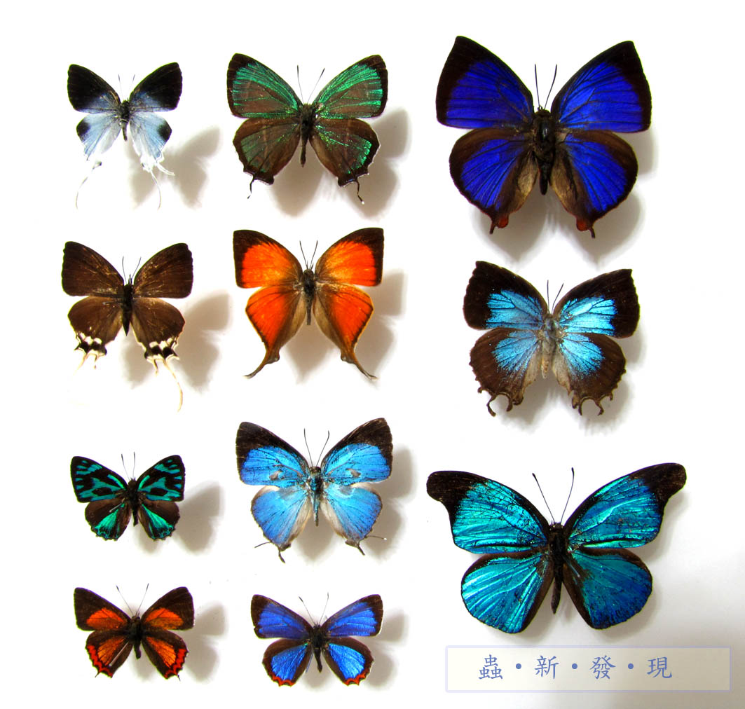 按此在新視窗瀏覽圖片