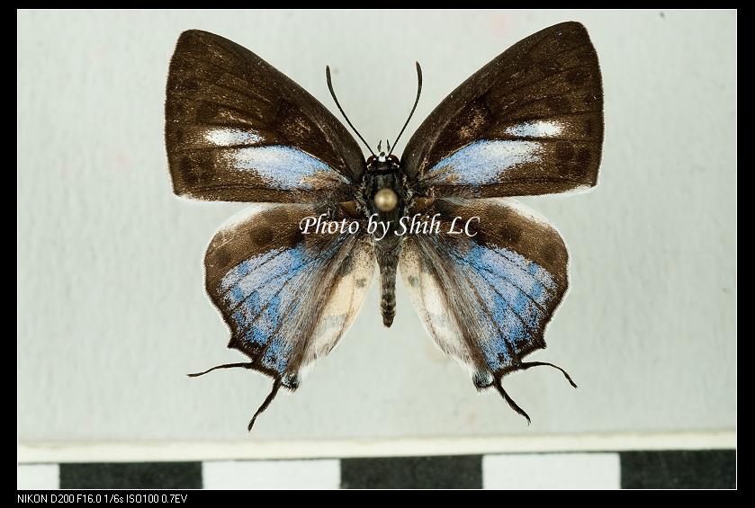 按此在新視窗瀏覽圖片