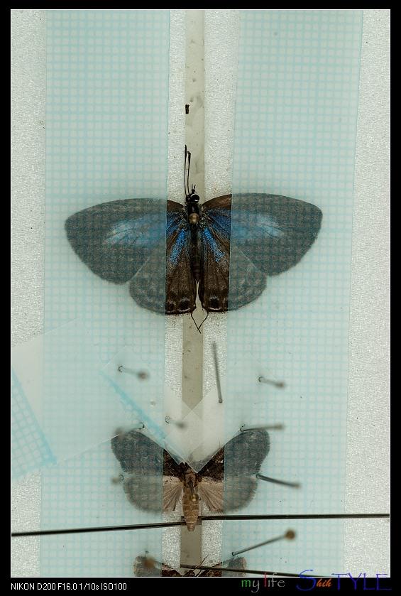 按此在新視窗瀏覽圖片