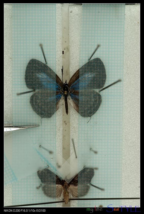 按此在新視窗瀏覽圖片