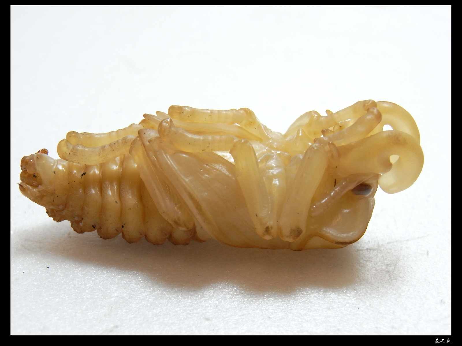 按此在新視窗瀏覽圖片