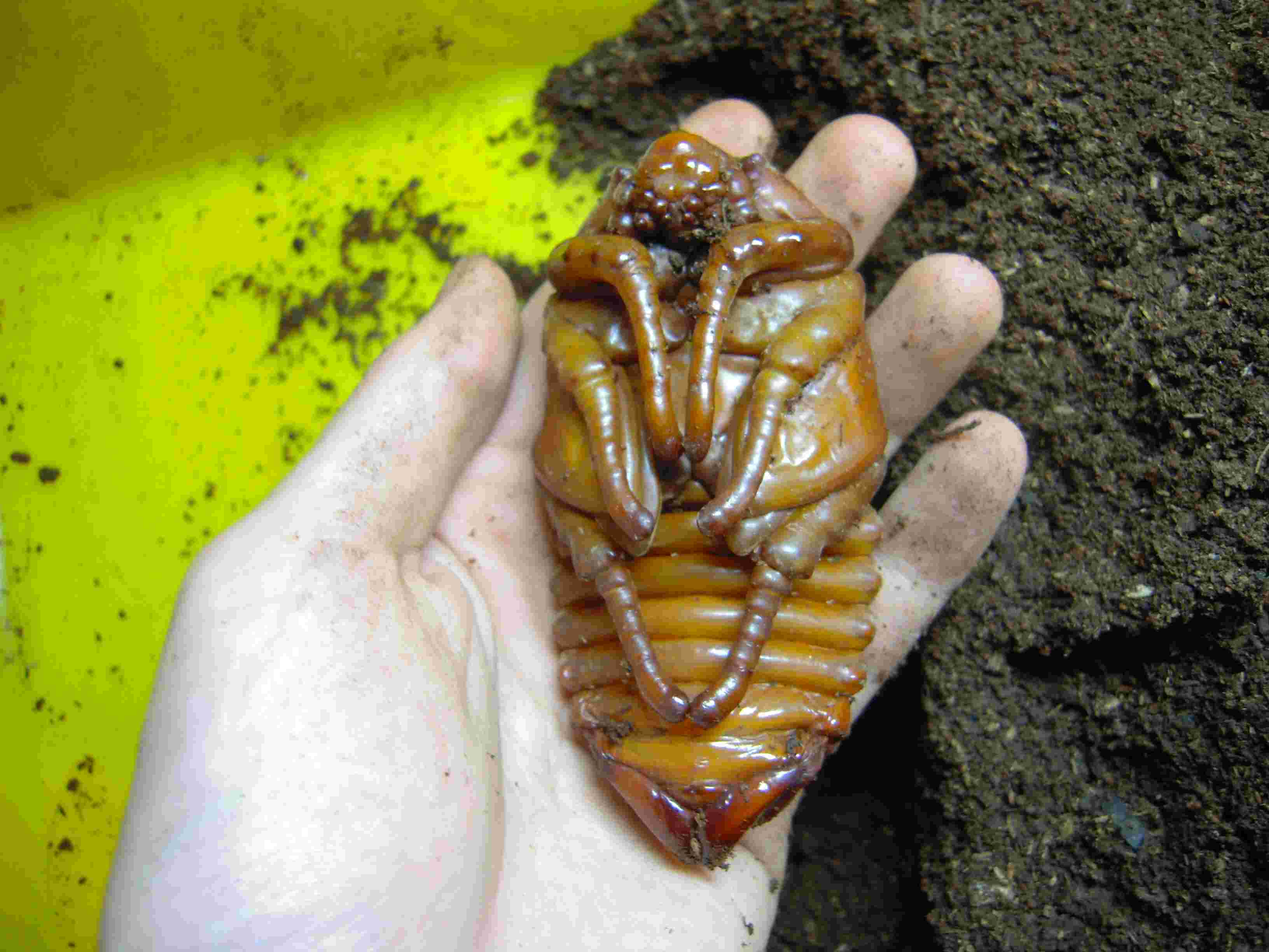 按此在新視窗瀏覽圖片