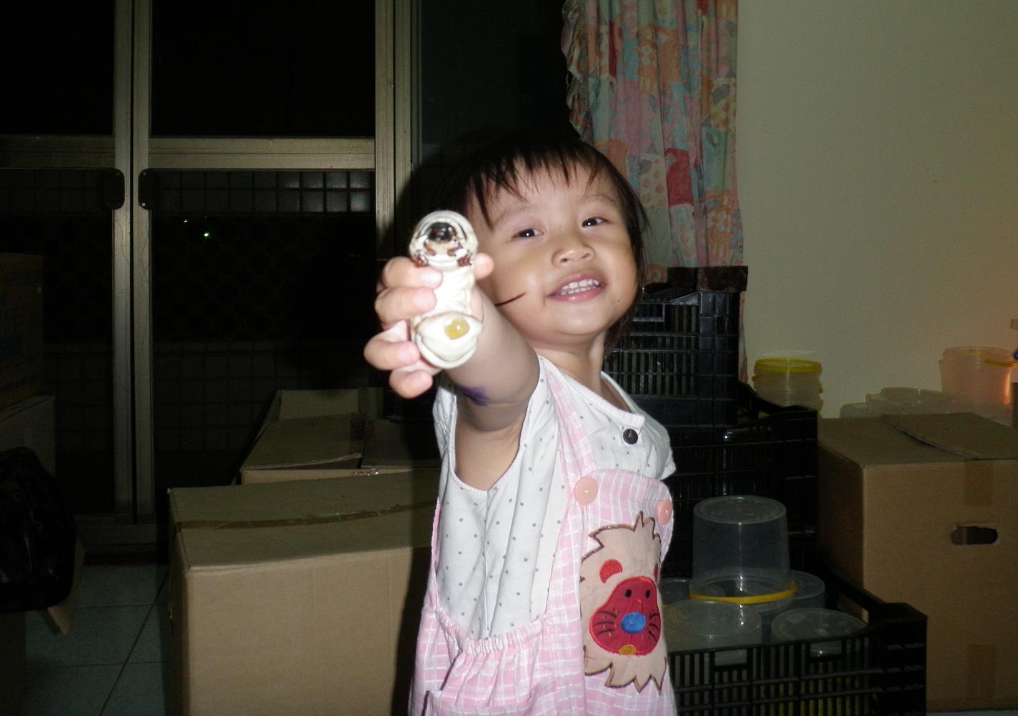 按此在新視窗瀏覽圖片