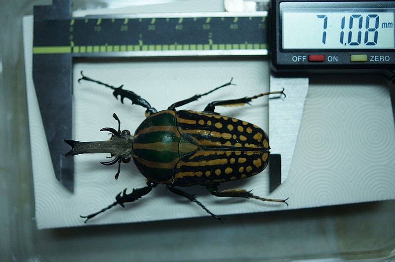 按此在新視窗瀏覽圖片