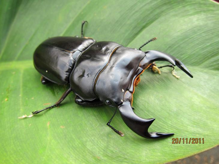 按此在新視窗瀏覽圖片