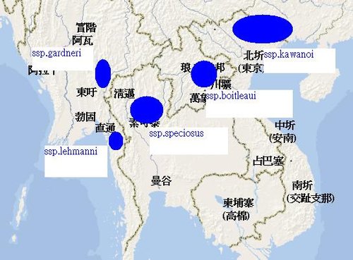按此在新視窗瀏覽圖片