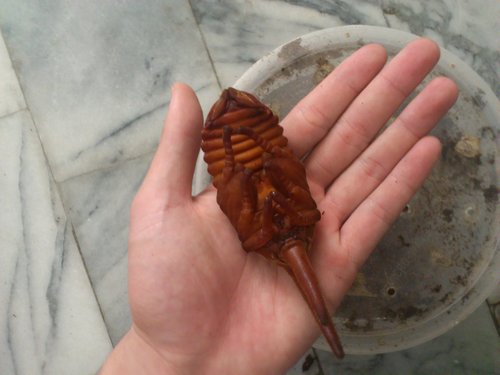 按此在新視窗瀏覽圖片