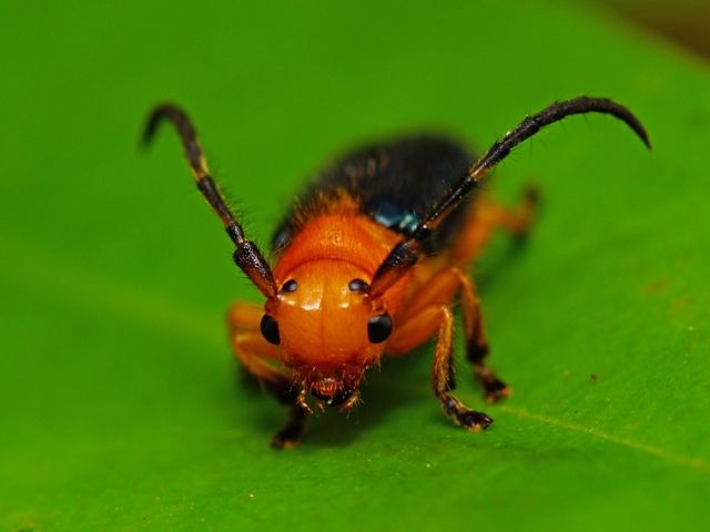 «ö¦¹¦b·sµøµ¡ÂsÄý¹Ï¤ù