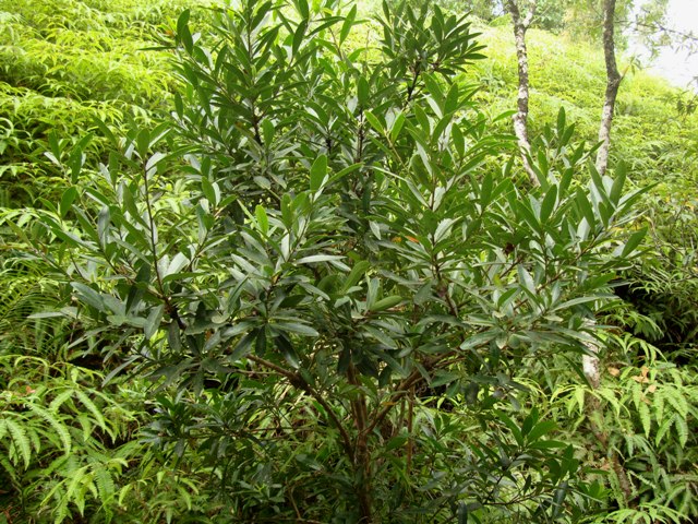 «ö¦¹¦b·sµøµ¡ÂsÄý¹Ï¤ù