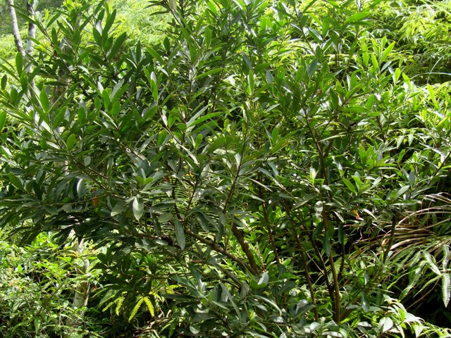 «ö¦¹¦b·sµøµ¡ÂsÄý¹Ï¤ù