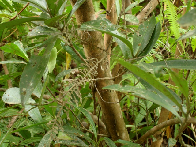 «ö¦¹¦b·sµøµ¡ÂsÄý¹Ï¤ù