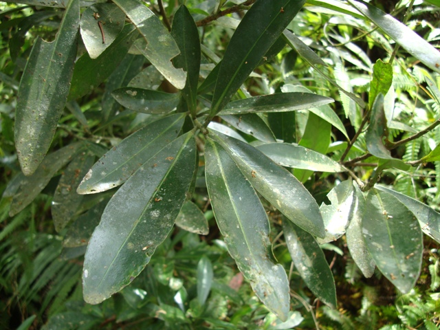 «ö¦¹¦b·sµøµ¡ÂsÄý¹Ï¤ù