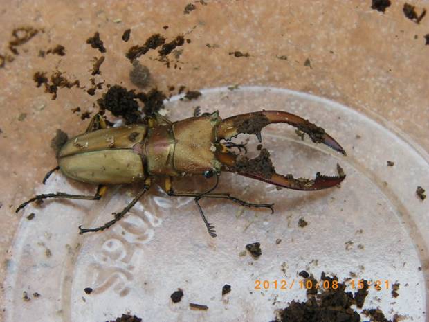 按此在新視窗瀏覽圖片